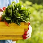 shutterstock_126744209-e1651526814641