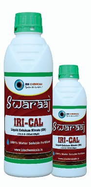 Screenshot 2026-01-03 171402