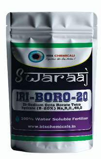 Screenshot 2026-01-04 204139